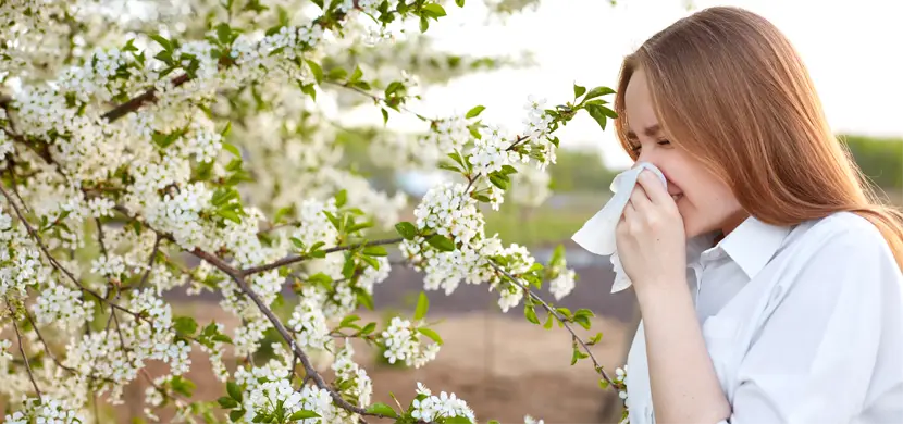 Allergie – jetzt aktiv werden